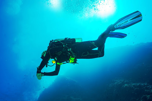 Виды дайвинга: какой выбрать?